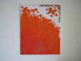 /album/colors/p1020824-jpg/